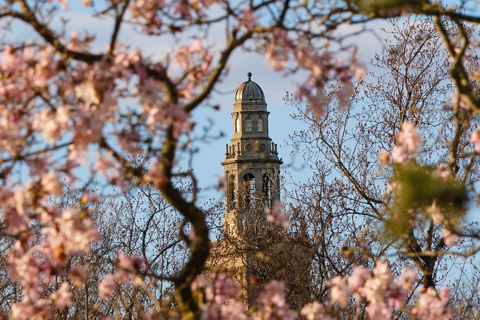 Bronze Bells