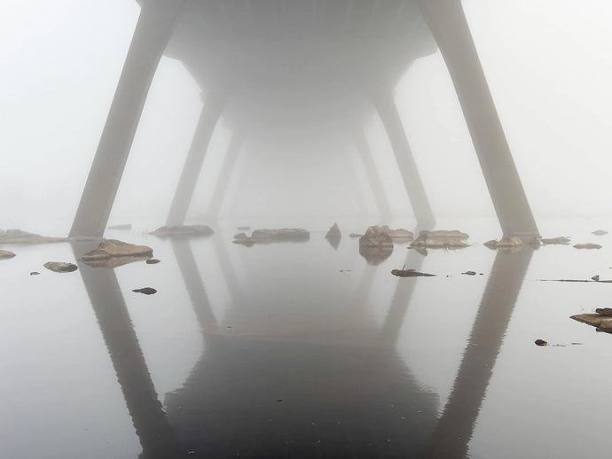 Froggy Morning Reflections